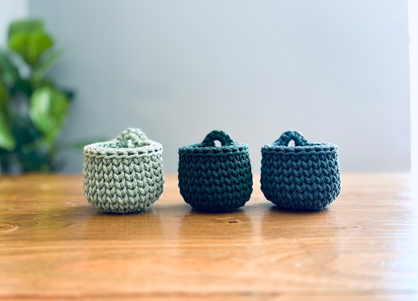 Mini Hanging Basket