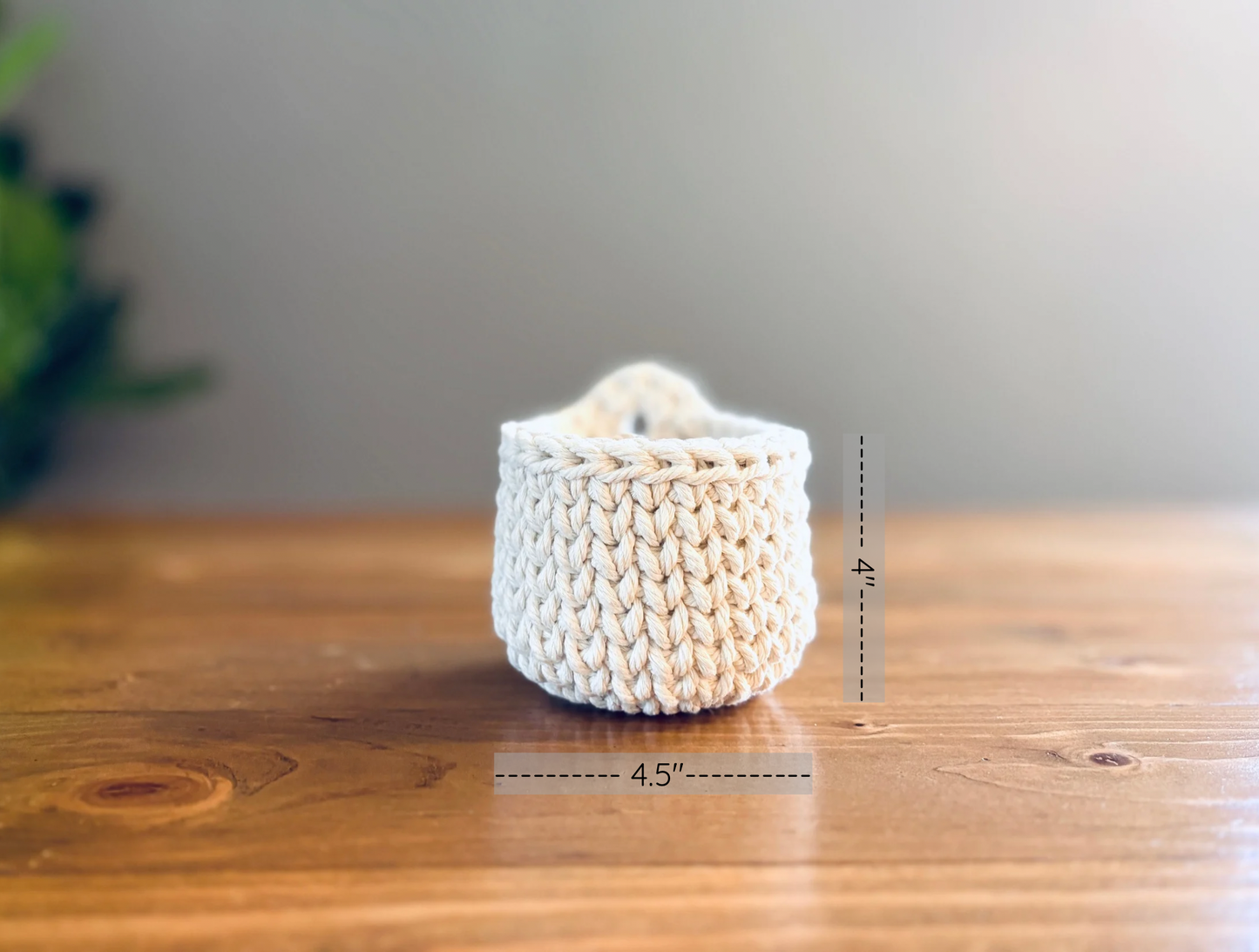 Mini Hanging Basket