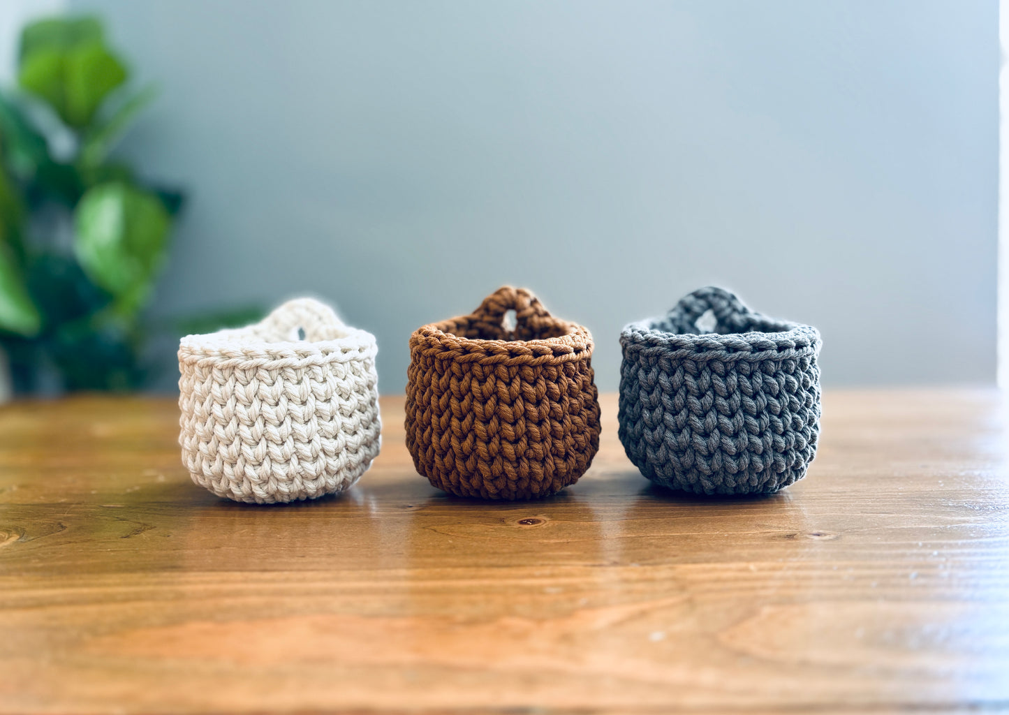 Mini Hanging Basket