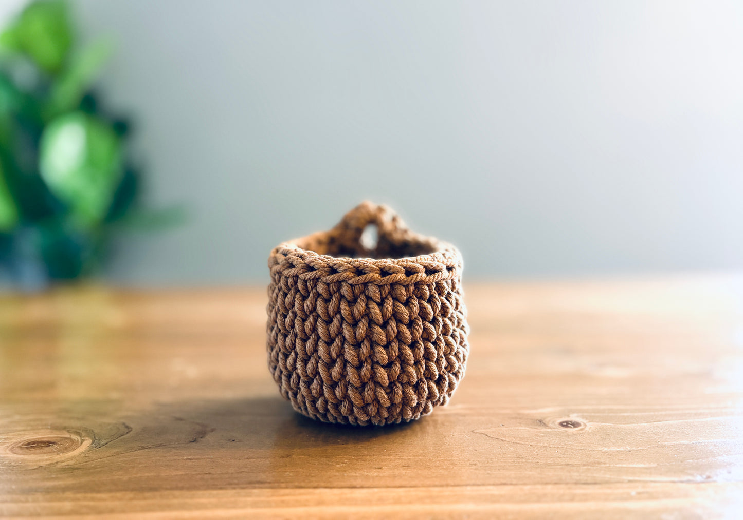 Mini Hanging Basket