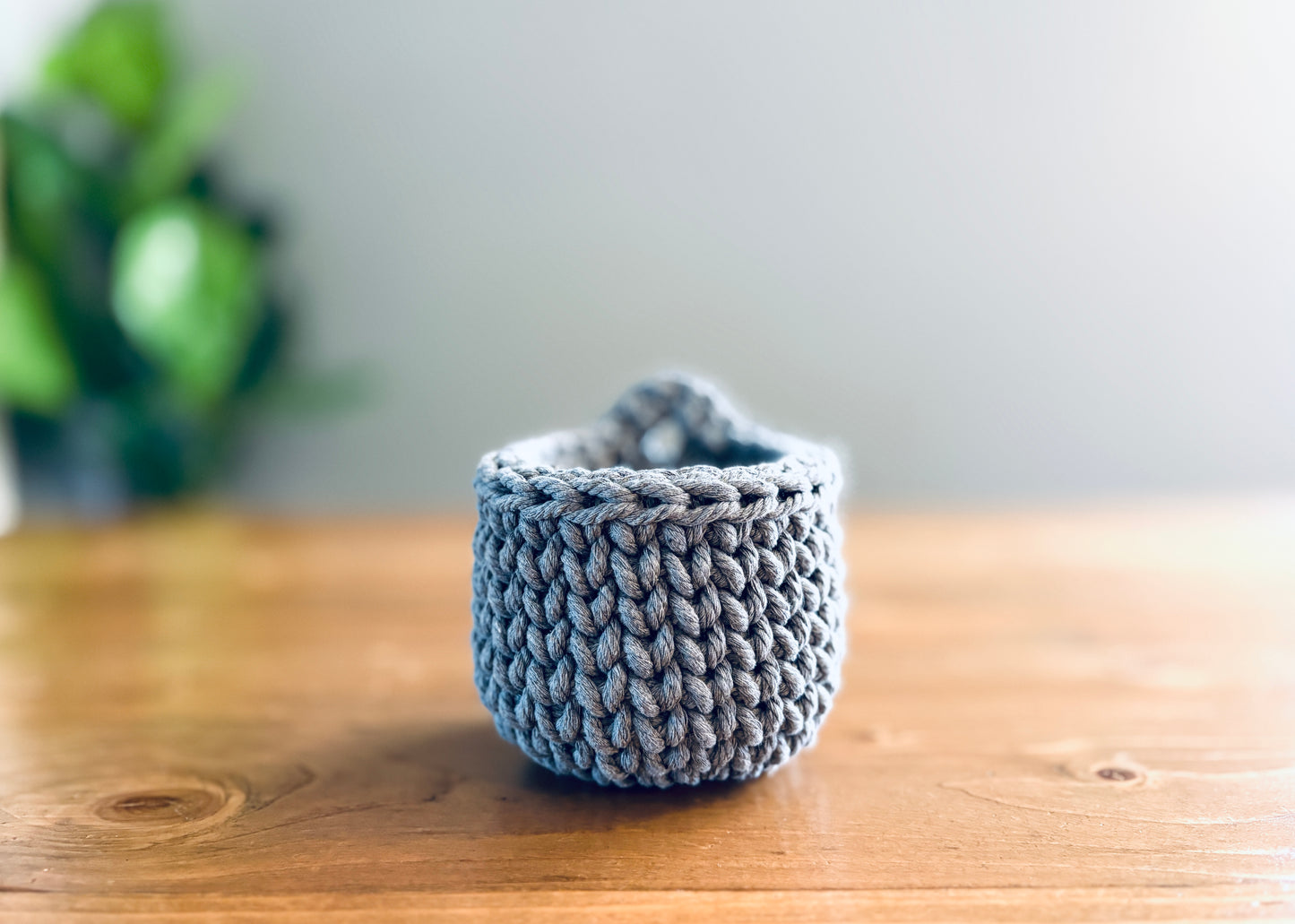 Mini Hanging Basket