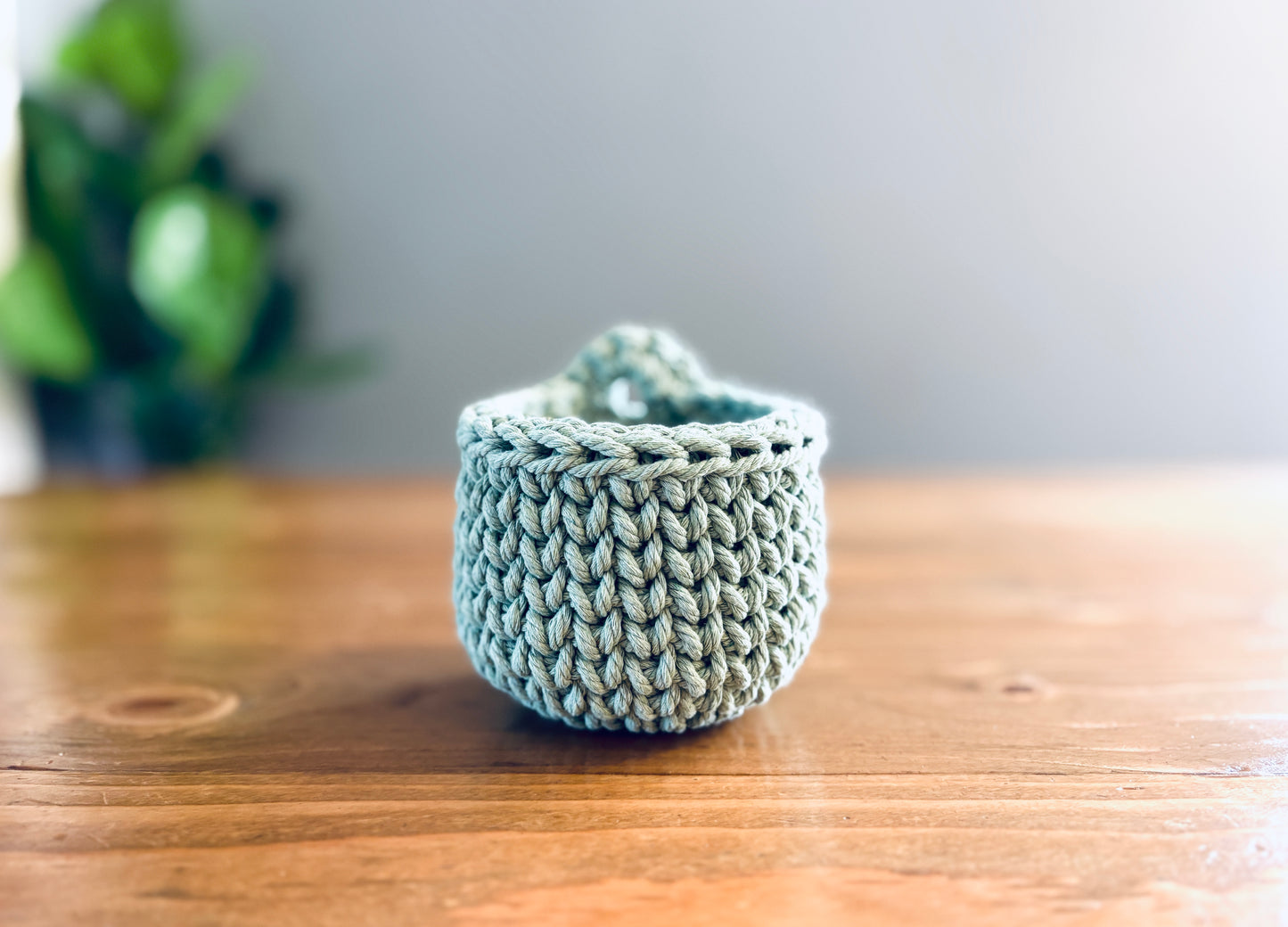 Mini Hanging Basket