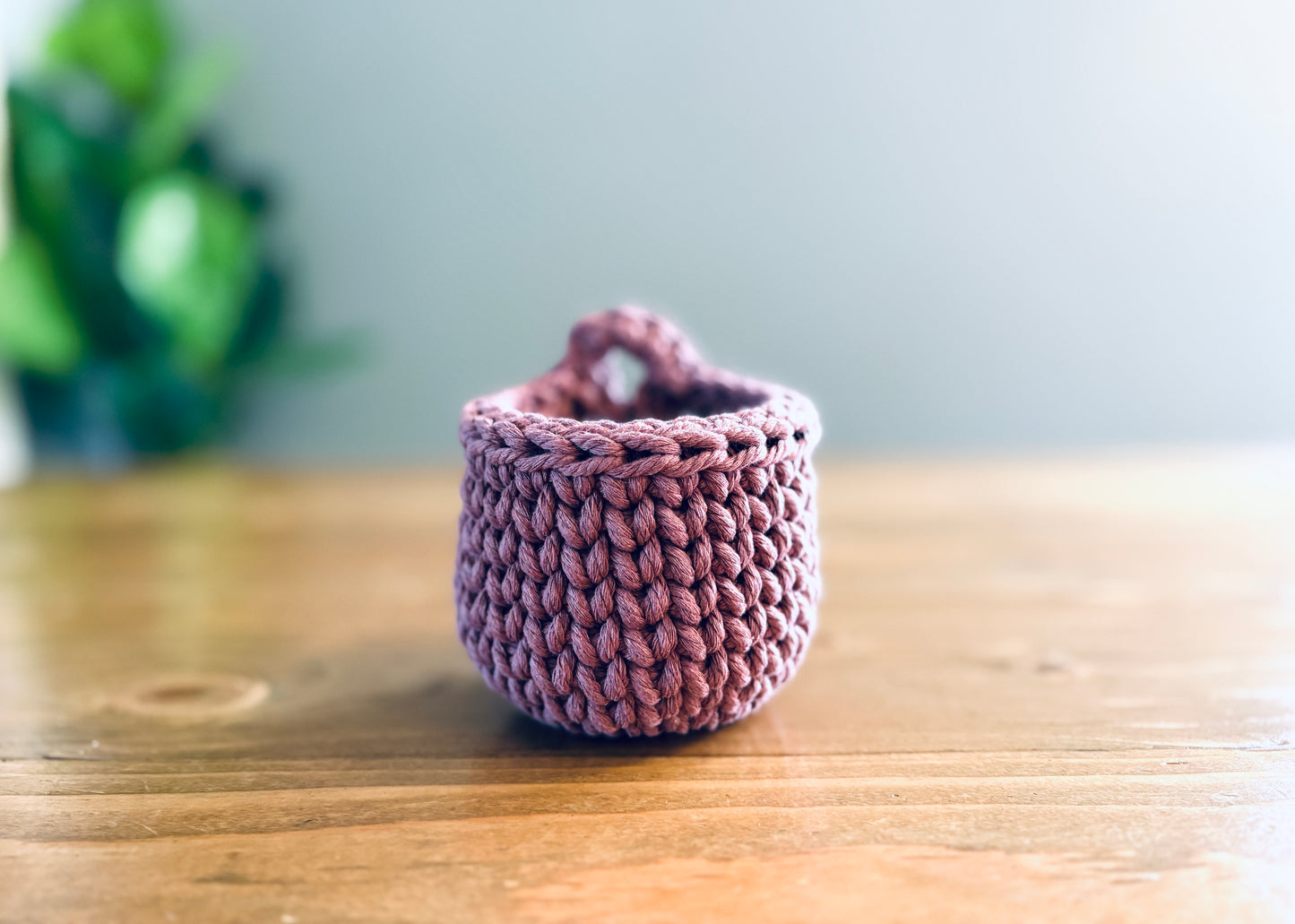 Mini Hanging Basket