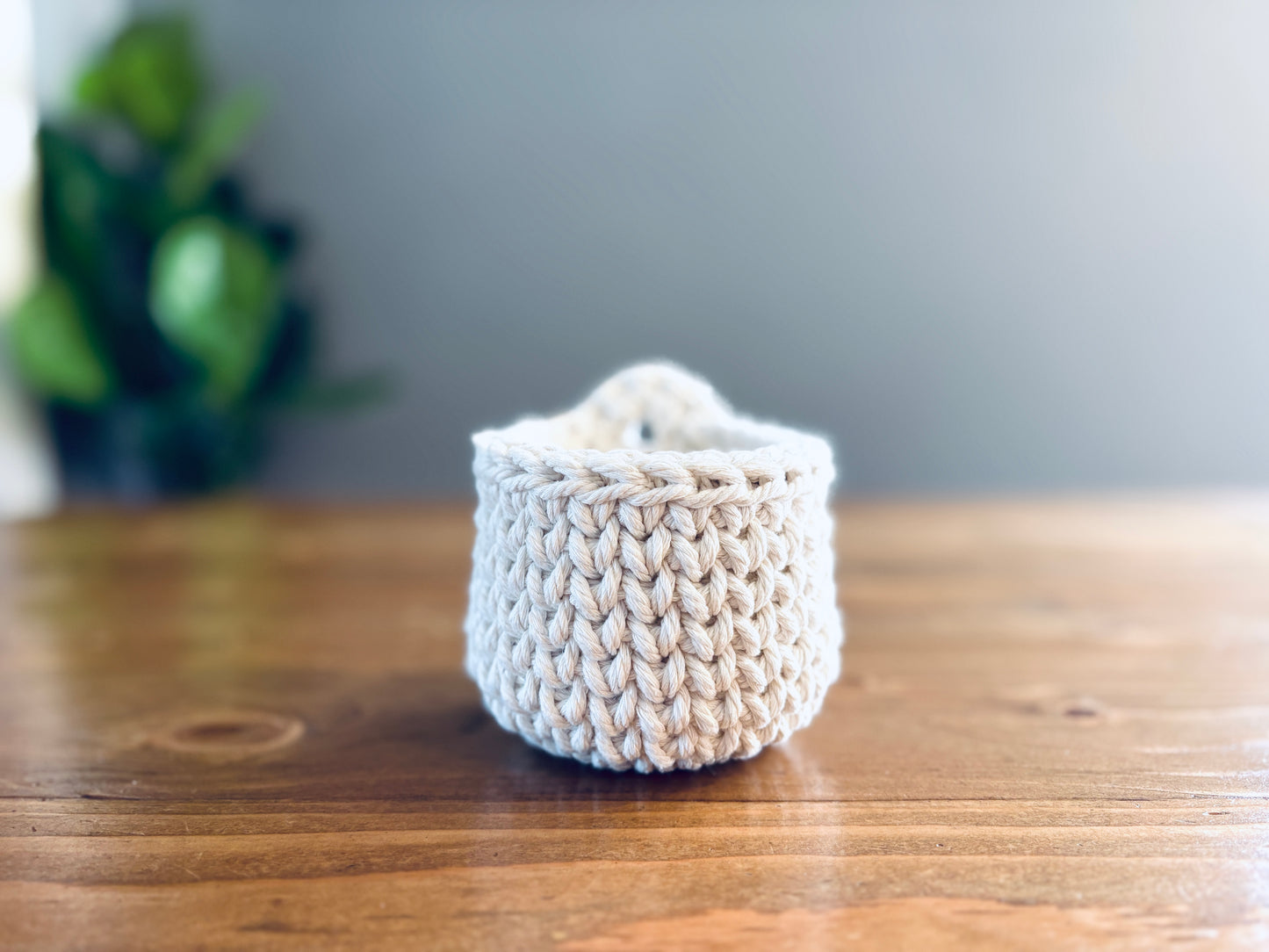 Mini Hanging Basket