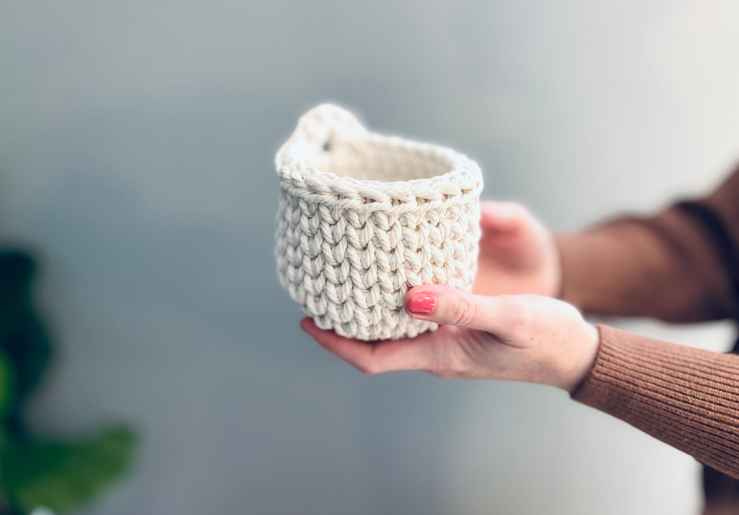Mini Hanging Basket