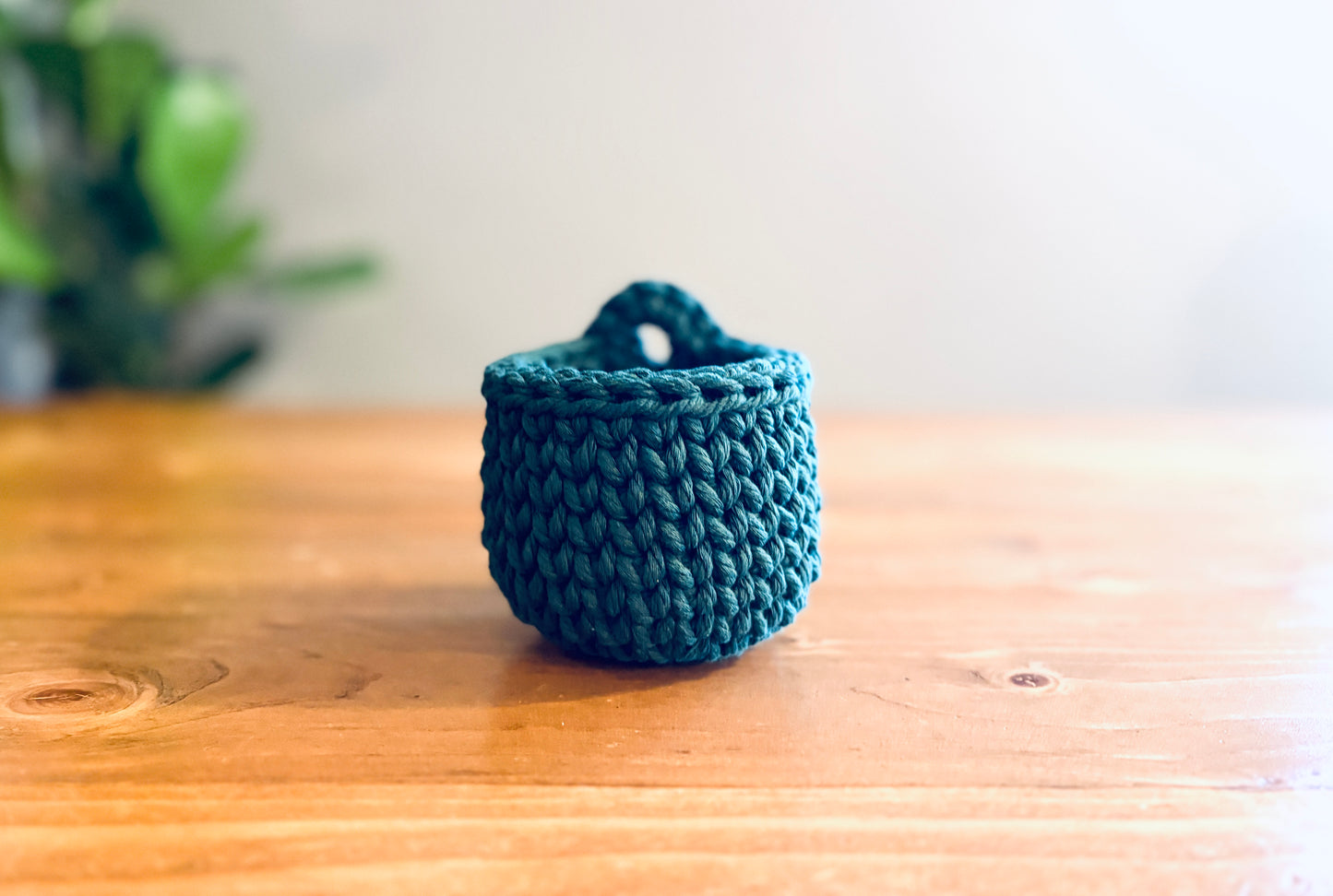Mini Hanging Basket