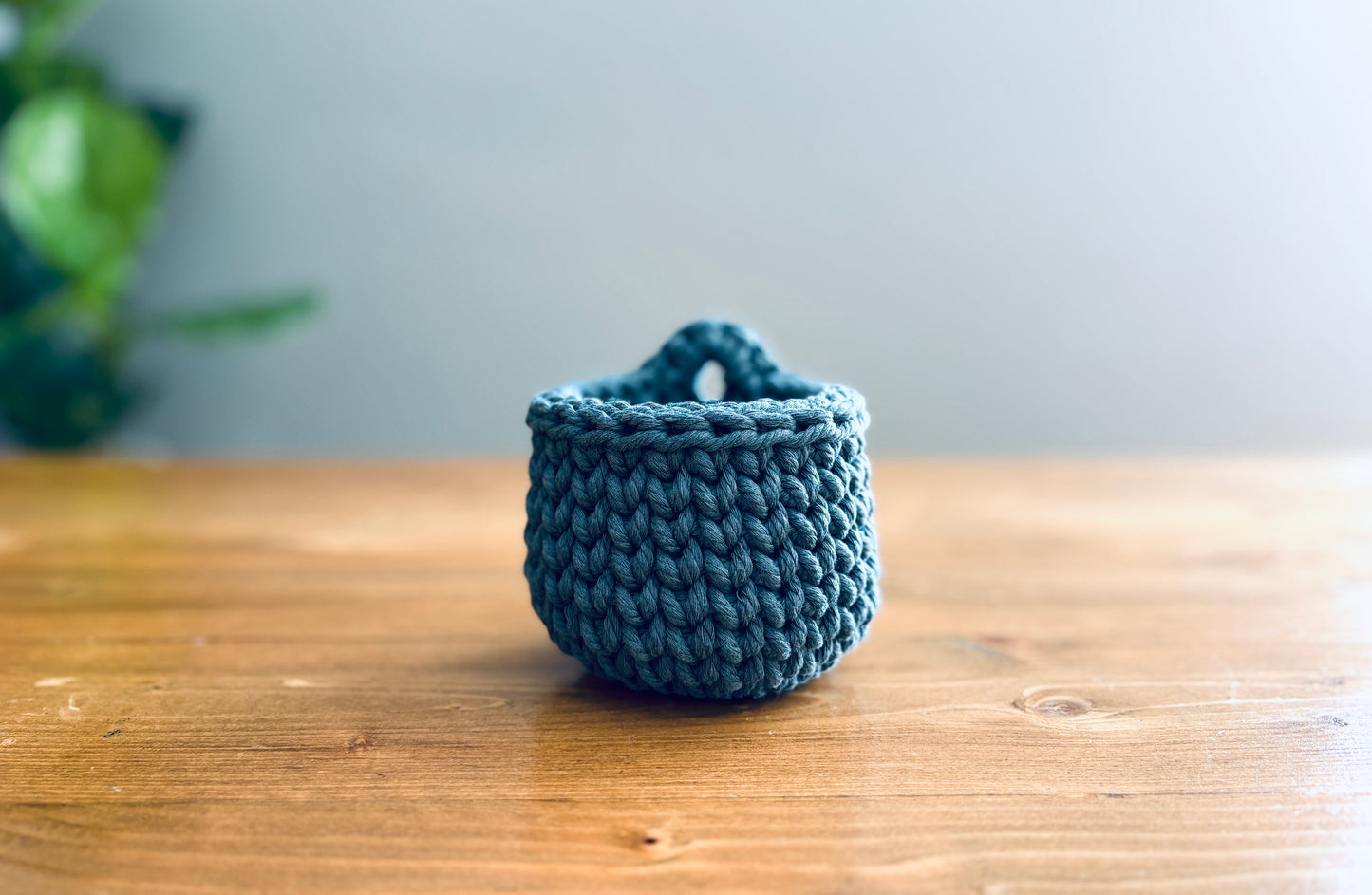 Mini Hanging Basket